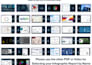 run an infographic demographic report USA only